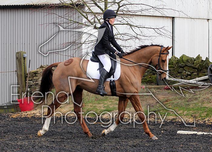 novice078