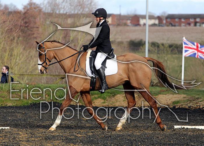 novice079