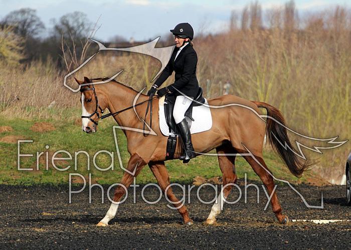 novice081
