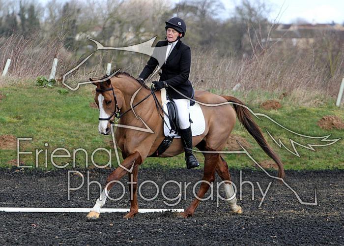 novice088
