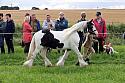 Carnwath Show 2025