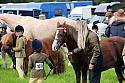 Carnwath2025Ring1003