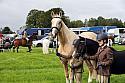 Carnwath2025Ring1009