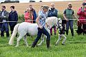 Carnwath2025Ring1015
