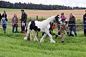 Carnwath2025Ring1019