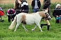 Carnwath2025Ring1046