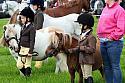 Carnwath2025Ring1049