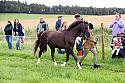 Carnwath2025Ring1051