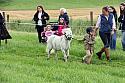 Carnwath2025Ring1053