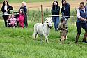 Carnwath2025Ring1055