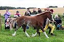 Carnwath2025Ring1061