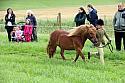 Carnwath2025Ring1067