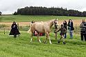 Carnwath2025Ring1075
