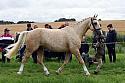 Carnwath2025Ring1079