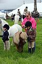 Carnwath2025Ring1095