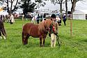 Carnwath2025Ring1096