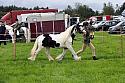 Carnwath2025Ring1125