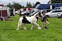Carnwath2025Ring1126
