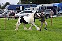 Carnwath2025Ring1127