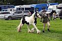 Carnwath2025Ring1128