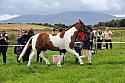 Carnwath2025Ring1130