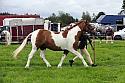 Carnwath2025Ring1132