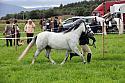 Carnwath2025Ring1135