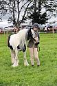 Carnwath2025Ring1142