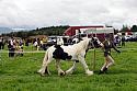 Carnwath2025Ring1144