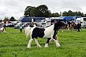 Carnwath2025Ring1147