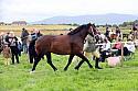 Carnwath2025Ring1155