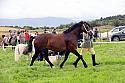 Carnwath2025Ring1156