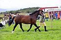 Carnwath2025Ring1157