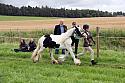 Carnwath2025Ring1166