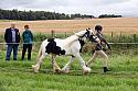 Carnwath2025Ring1167