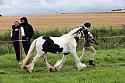 Carnwath2025Ring1170