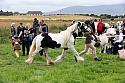 Carnwath2025Ring1171