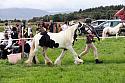 Carnwath2025Ring1173