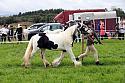 Carnwath2025Ring1174