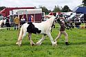 Carnwath2025Ring1175