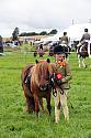 Carnwath2025Ring1184