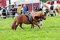 Carnwath2025Ring1190