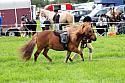 Carnwath2025Ring1191