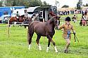 Carnwath2025Ring1194