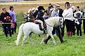 Carnwath2025Ring1197