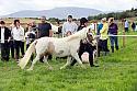 Carnwath2025Ring1230