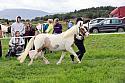 Carnwath2025Ring1231