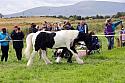 Carnwath2025Ring1273