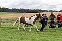Carnwath2025Ring1293