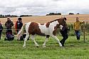 Carnwath2025Ring1294